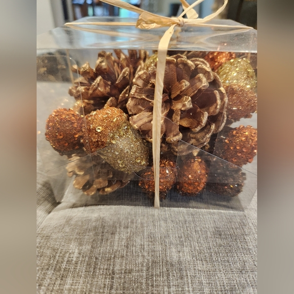 Other - Fall decorations